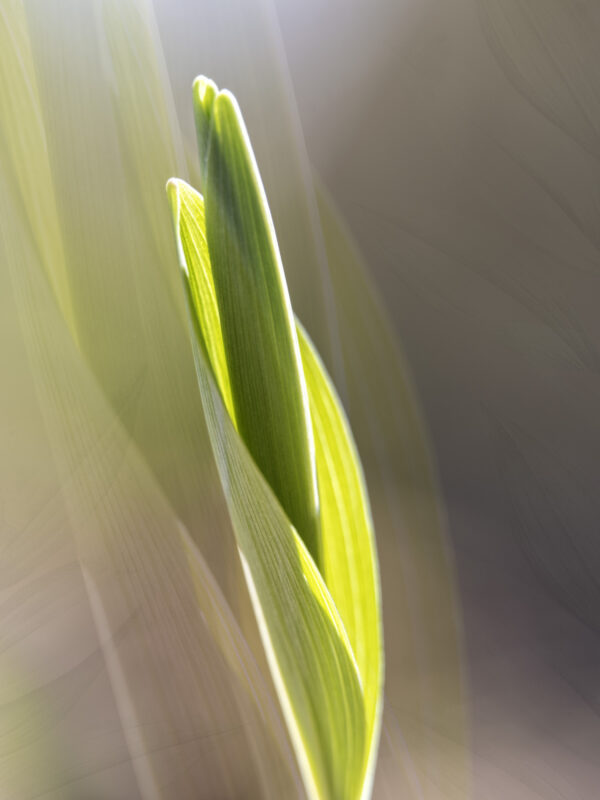 4801-L