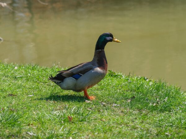 4838