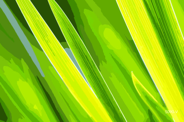 5090-V