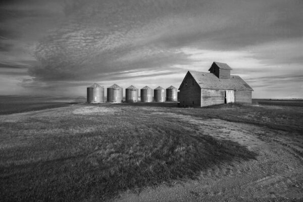 5098-BW