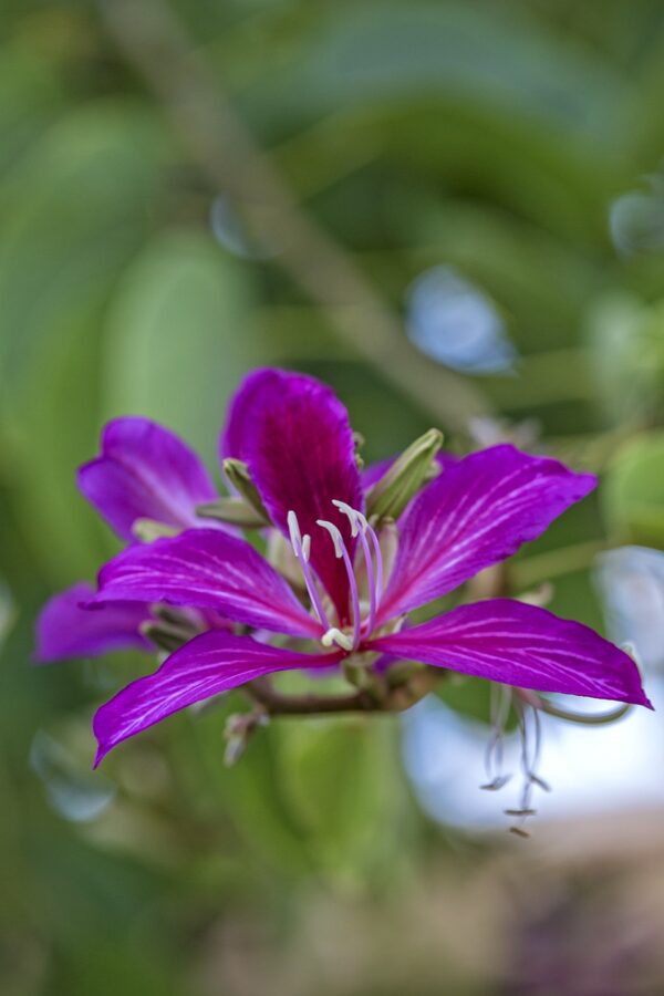 5422
