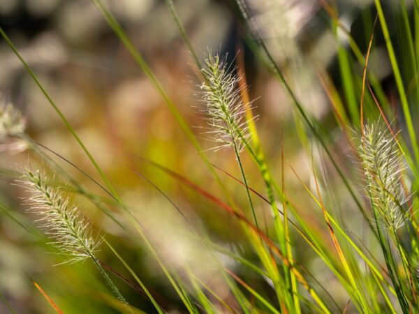 5456-2