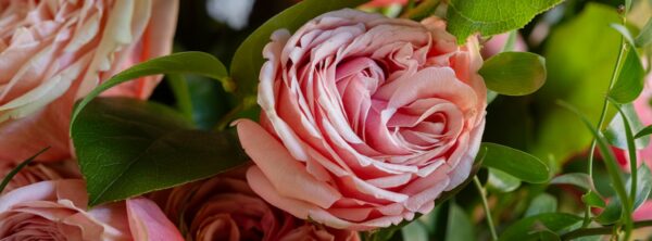 54611