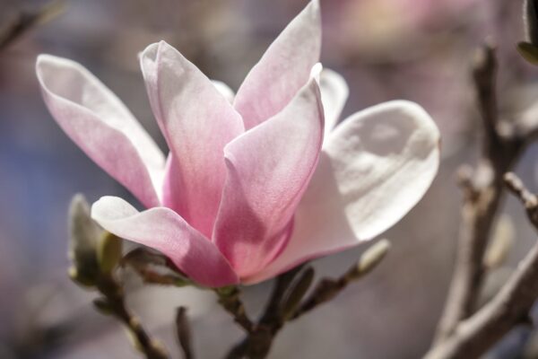 5523-2