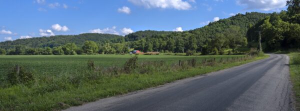 6616 Pan