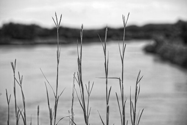 7019-BW