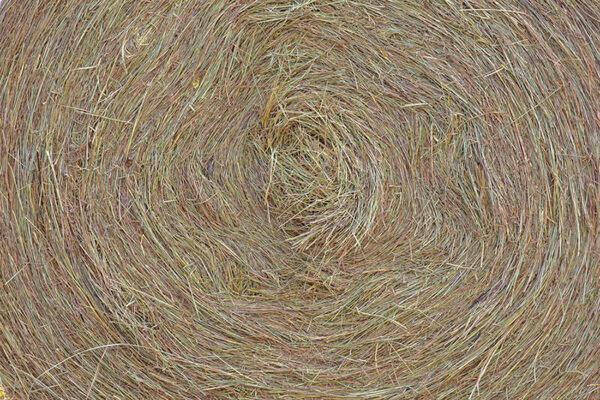 7103