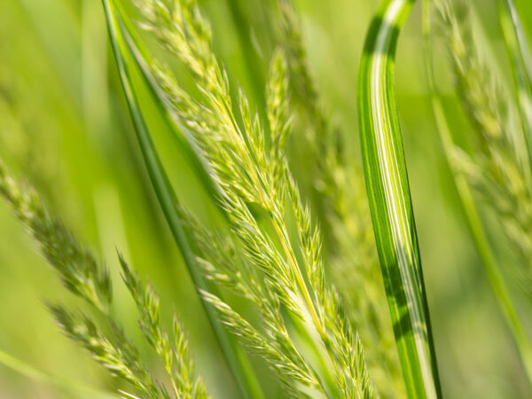 7285-3