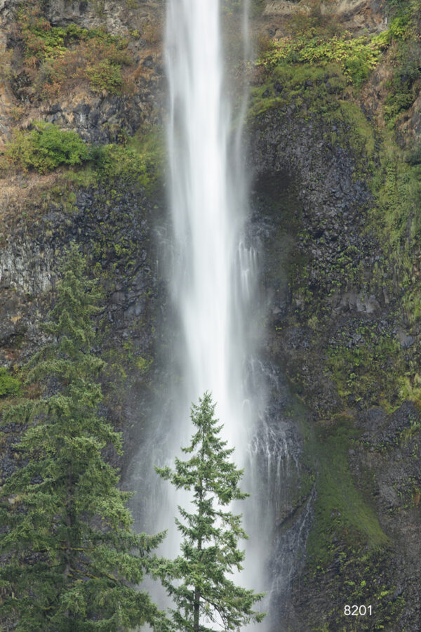 8201