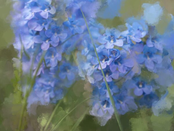 8904-i