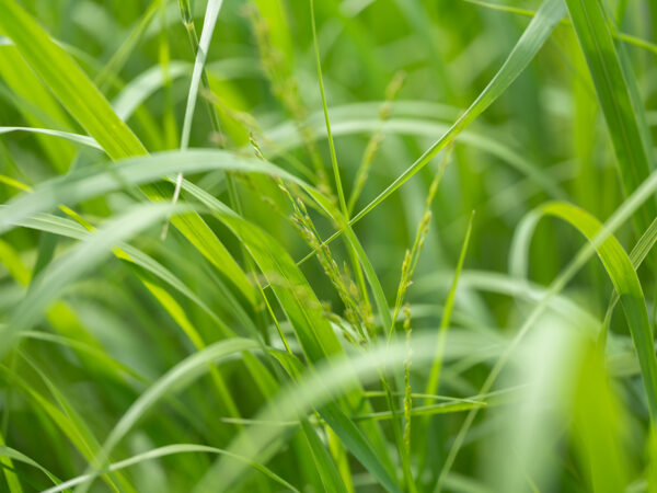 8980-3