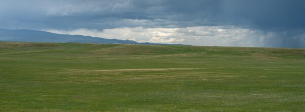 9232