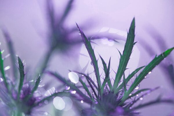9338-Filter