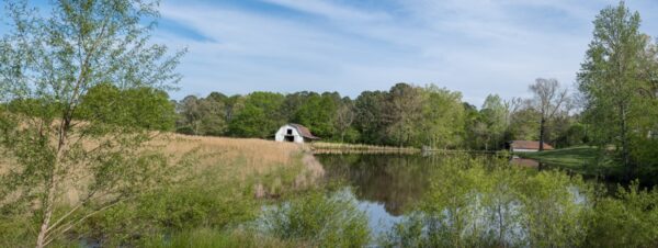 Alabama Panoramic