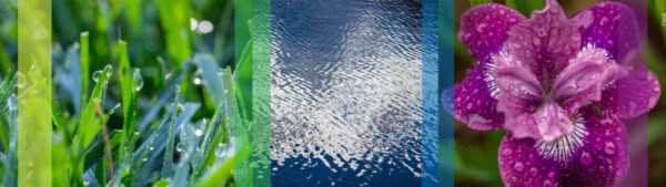 Botanical-Slices42
