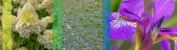 Botanical-Slices43