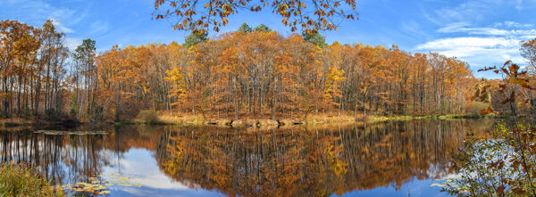 Fall Lake Pan-3