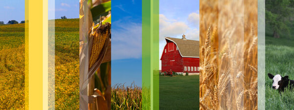 Farm Slices