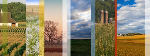 Farm Slices 5
