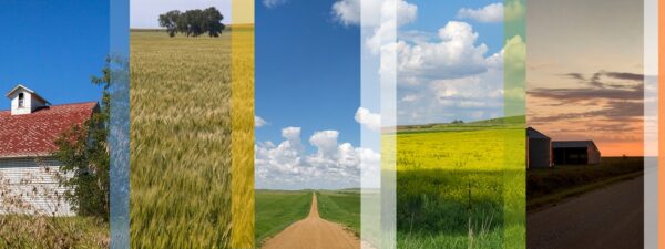 Farm Slices 6