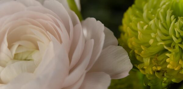 Flower Pan-1