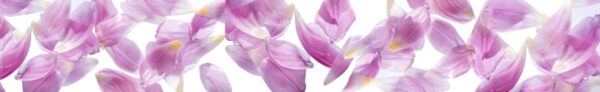 Flower Petal Pan