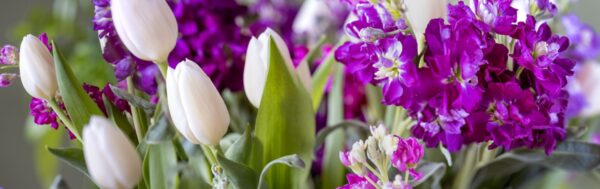 Flowers Panorama-4