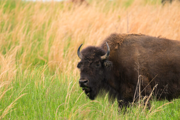 J-0673