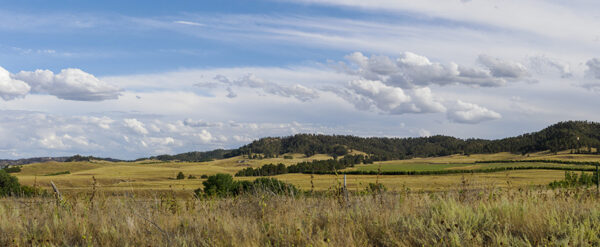J-110020-3-Pano