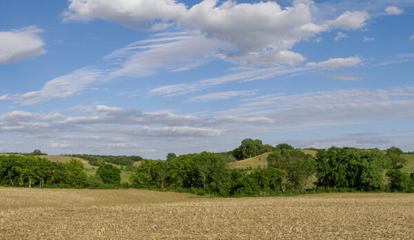 J-110304-Pano