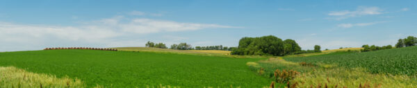 J-1938-Pano