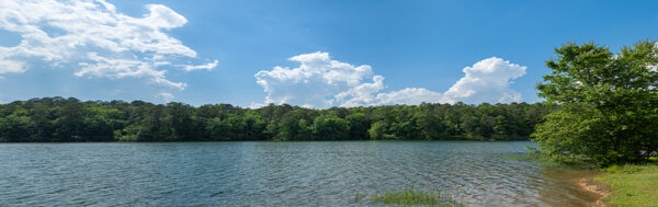 Lakefront Pan