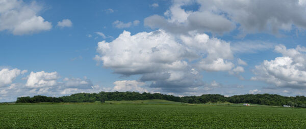 Landscape Pan-2