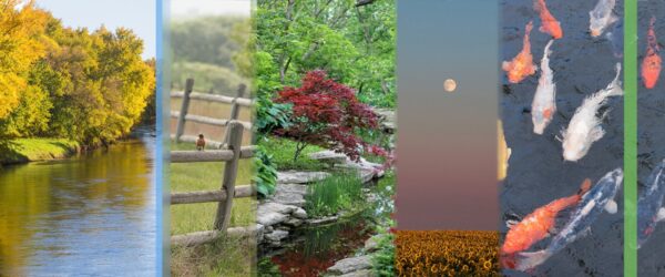 Landscape Slices