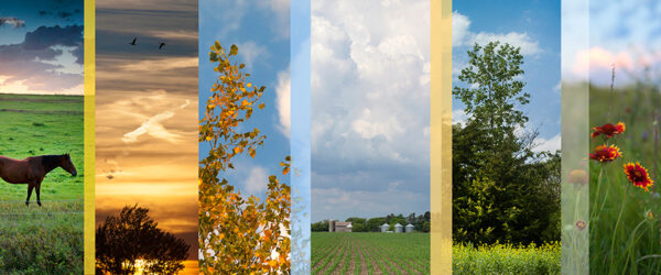 Landscape Slices 3