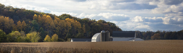 MN Pan-1