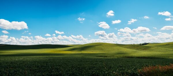NE-Pano-13
