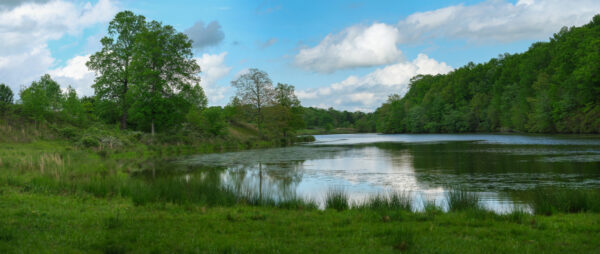 Pond Pan-1
