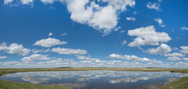 Sandhills Pan-4