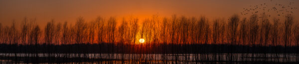 Sunset River Pan