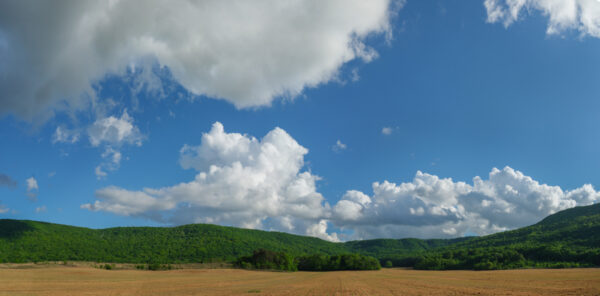 TN Landscape Pan-1