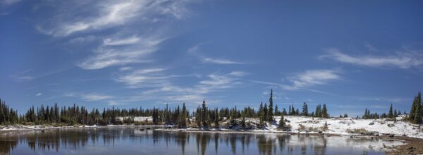 WY Pan-2