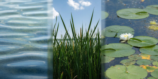 Water-Slices8