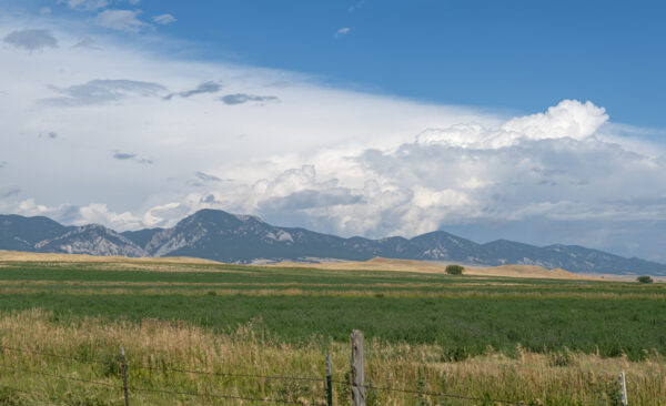 Wyoming Pan-5