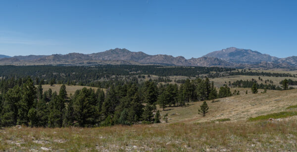 Wyoming Pan-9